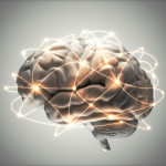 illustration of the brain