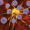 T cells attack a cancer cell