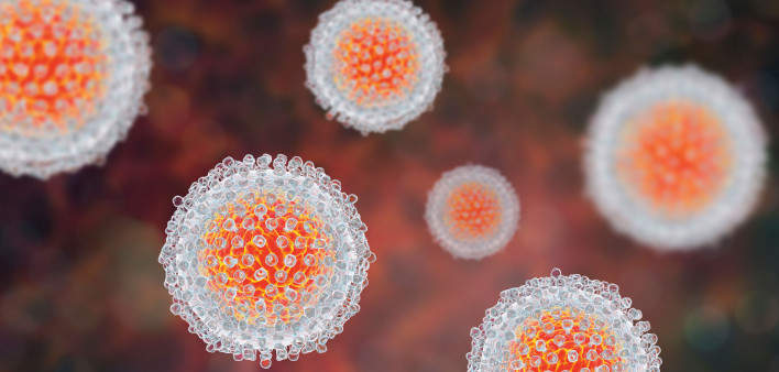 Hepatitis C virus model, 3D illustration.