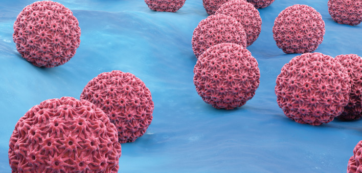 HPV virus