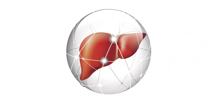 liver, liver cancer