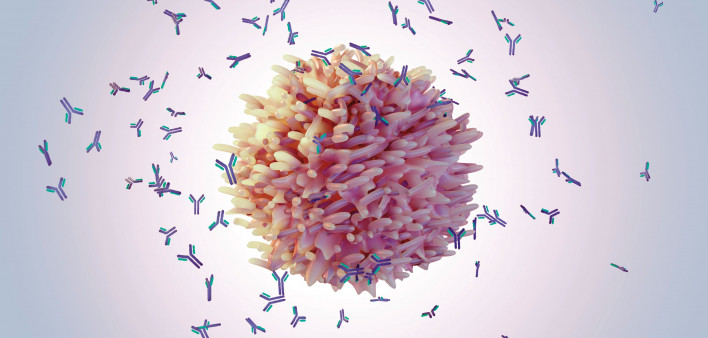 B cells produce proteins called antibodies