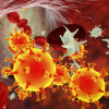 COVID-19 virus particles and activated platelets in blood stream