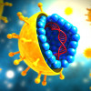 Hepatitis C virus
