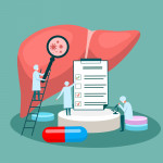 tiny doctor character diagnoses liver. vector illustration.