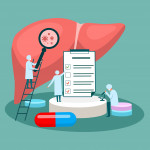 tiny doctor character diagnoses liver. vector illustration.