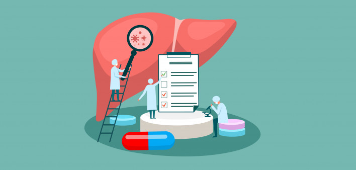 tiny doctor character diagnoses liver. vector illustration.