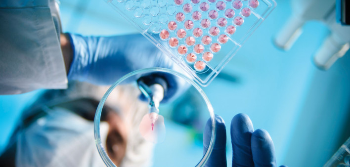 petri dish and pills in research lab