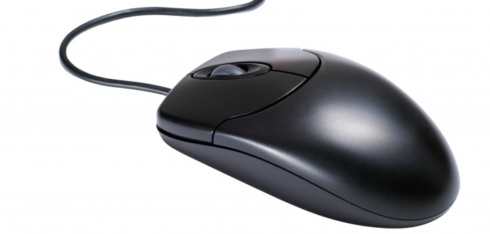 computer mouse
