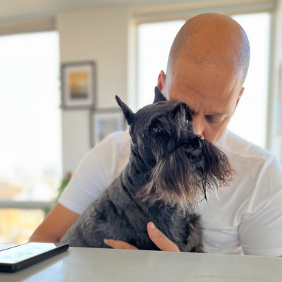 pets dogs prostate cancer