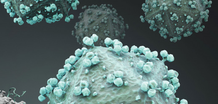 HIV Virus