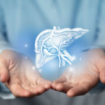 Hepatologist doctor, liver specialist. Aesthetic handdrawn highlighted illustration of human liver.