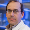 Anthony Letai, MD, PhD