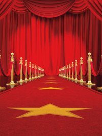 Red Carpet with Gold Star Red Curtains Awards