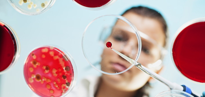 petri dish scientist