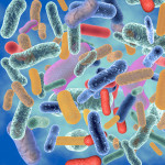 abstract image of colorful bacteria