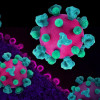 Layout featuring colorized 3D prints of HIV virus particles (pink with teal surface proteins) and a background image that is a colorized transmission electron micrograph of HIV virus particles (pink) budding and replicating from an H9 T cell (purple). Mic