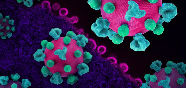Layout featuring colorized 3D prints of HIV virus particles (pink with teal surface proteins) and a background image that is a colorized transmission electron micrograph of HIV virus particles (pink) budding and replicating from an H9 T cell (purple). Mic