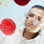 petri dish scientist