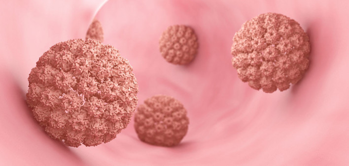 HPV