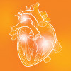 sketch of heart on organge background