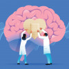 illustration doctors brain heart band aid