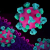 Layout featuring colorized 3D prints of HIV virus particles (pink with teal surface proteins) and a background image that is a colorized transmission electron micrograph of HIV virus particles (pink) budding and replicating from an H9 T cell (purple). Mic
