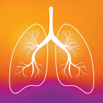 illustration outline of lungs