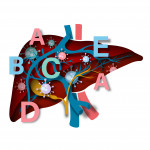 illustration of liver with letters