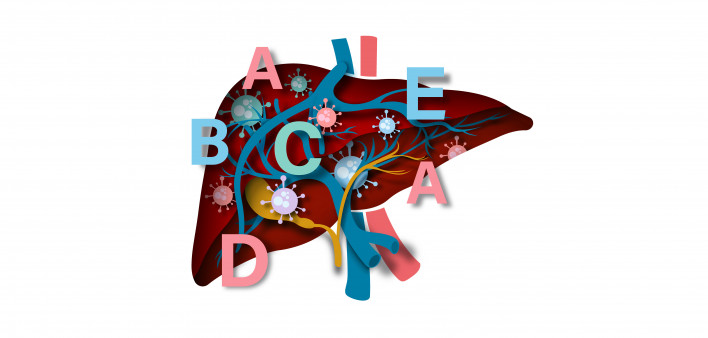 illustration of liver with letters
