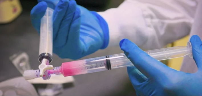 sickle cell bone marrow fred hutch