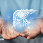 Hepatologist doctor, liver specialist. Aesthetic handdrawn highlighted illustration of human liver.