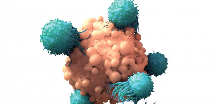 T Cells attack cancer