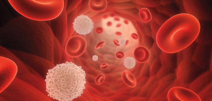 A 3D rendering of a bunch of red and white blood cells