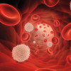 A 3D rendering of a bunch of red and white blood cells