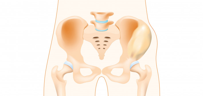 illustration bones of the pelvis