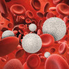 3D rendering of white and red blood cells