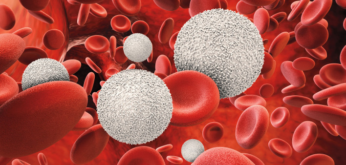 3d rendering white blood cells with red blood cells