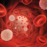 A 3D rendering of a bunch of red and white blood cells