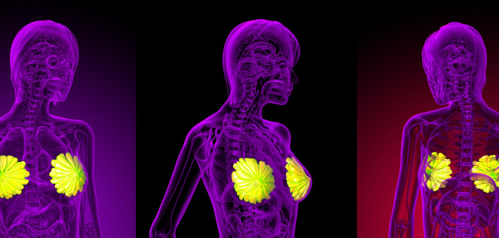 3D rendering of the breast