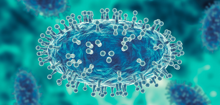 Monkeypox virus