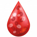 illustration blood drop blood cells