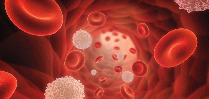 illustrarion of blood cells