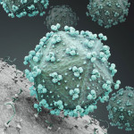 HIV Virus