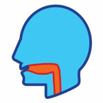 illustration of head and throat