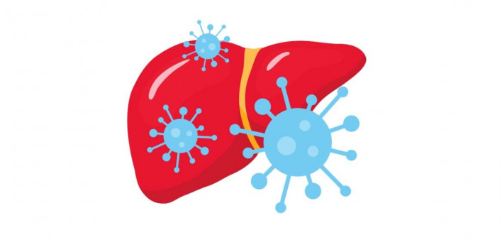 hepatitis C, HCV, liver. illustration liver and virus