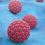 HPV virus