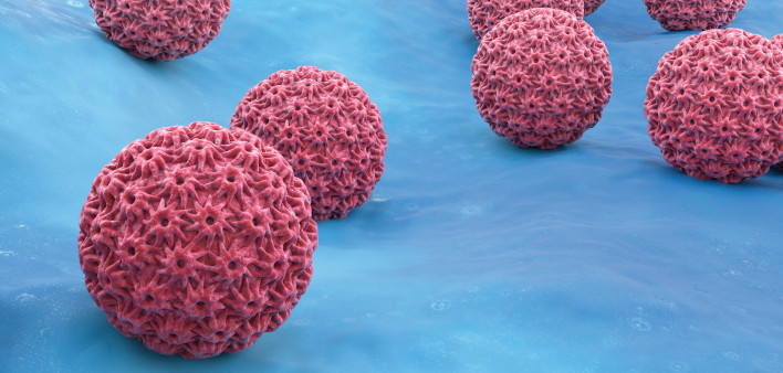 HPV virus