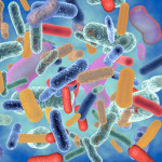 abstract image of colorful bacteria