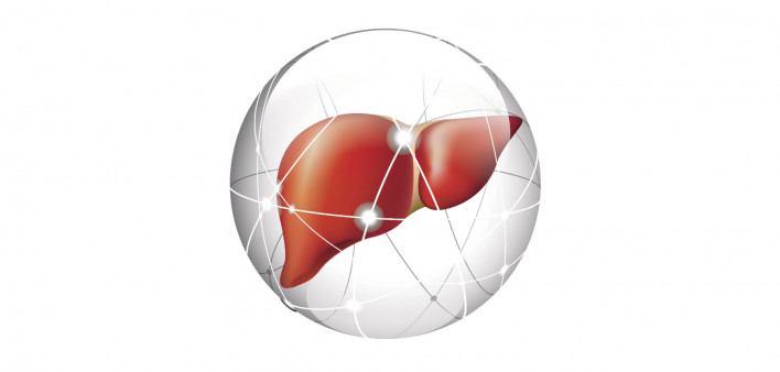 liver, liver cancer